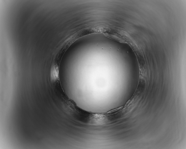 X0000093620095200710221554
