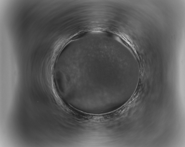 X0000093620097200710221554