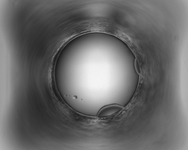 X0000093620098200710221554