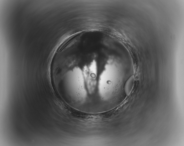 X0000093620099200710221554