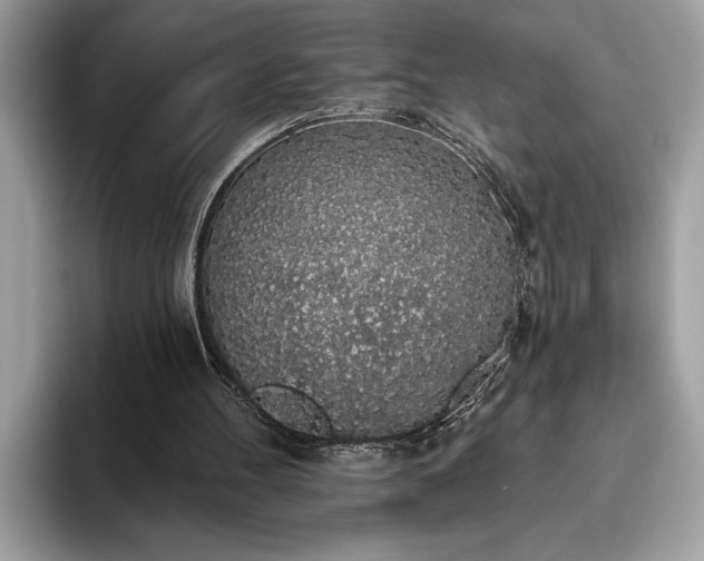X0000093620100200710221554