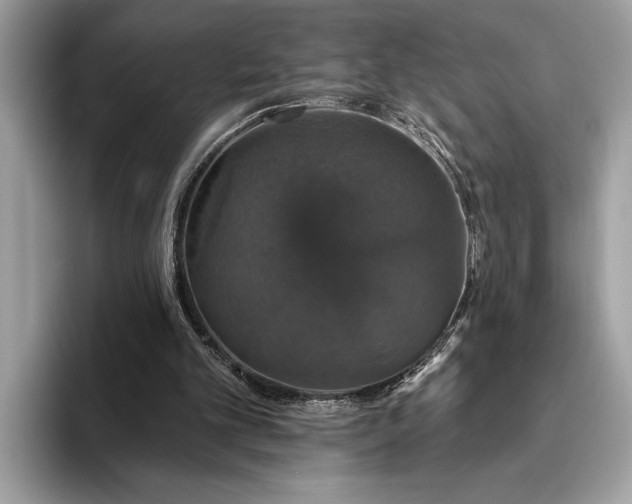 X0000093620101200710221554
