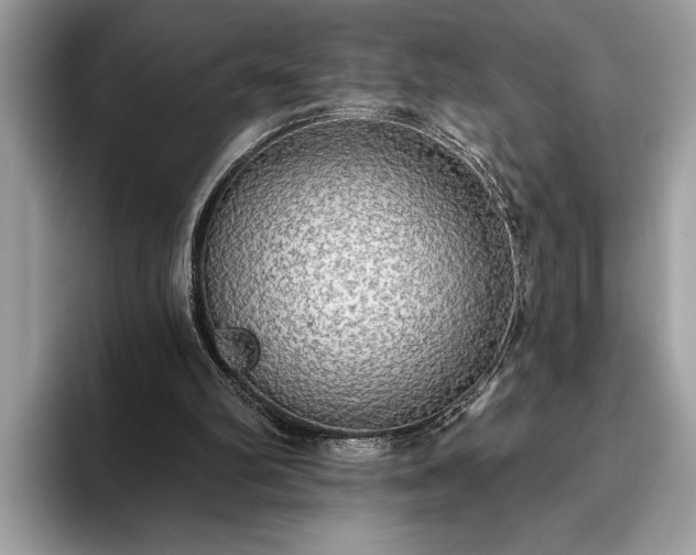X0000093620102200710221554