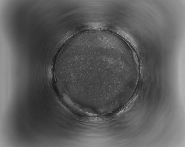 X0000093620105200710221554