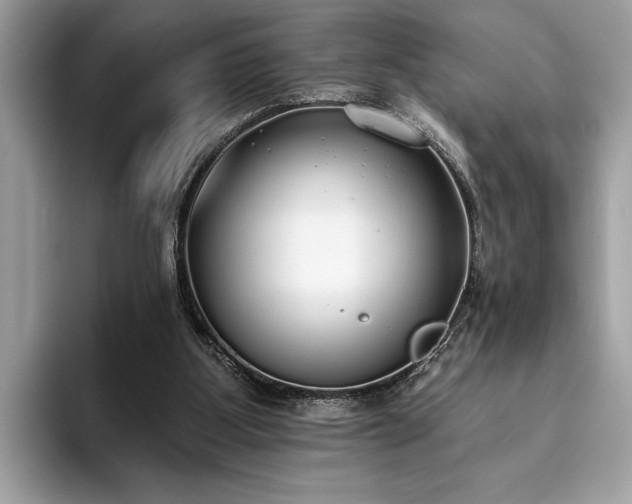 X0000093620107200710221554