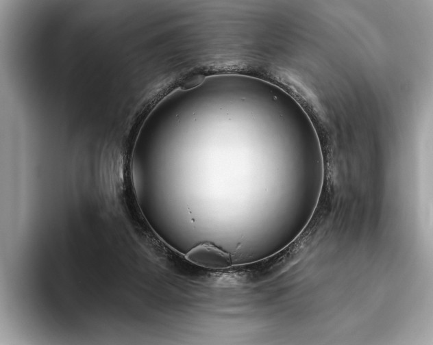 X0000093620115200710221553