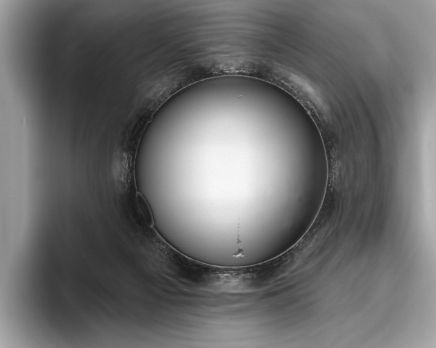 X0000093620121200710221553