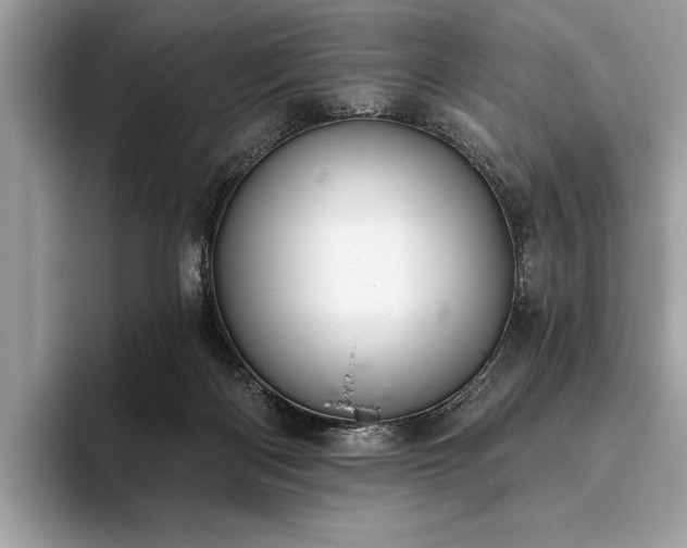 X0000093620122200710221553