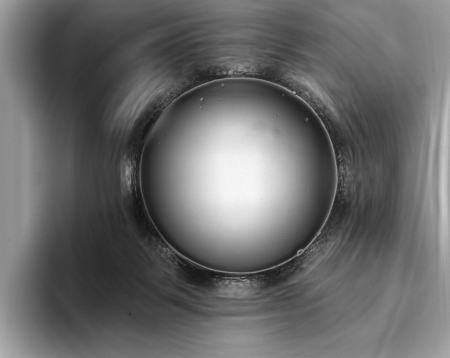 X0000093620123200710221553