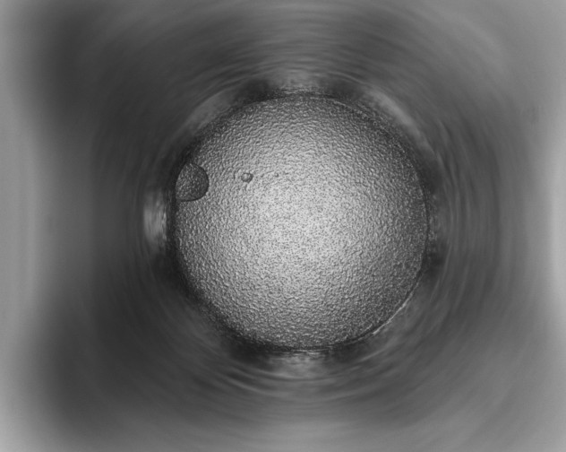 X0000093620124200710221553