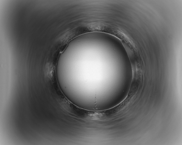 X0000093620125200710221553