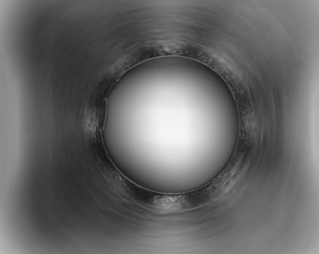 X0000093620129200710221553