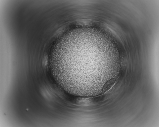 X0000093620132200710221553