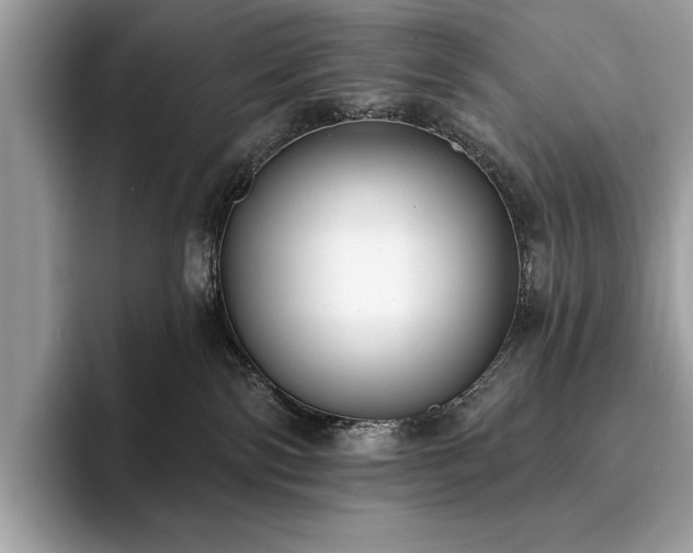 X0000093620138200710221553