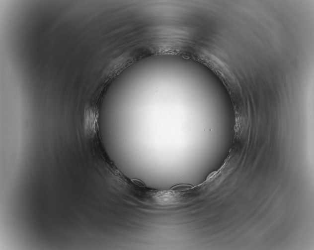 X0000093620142200710221553