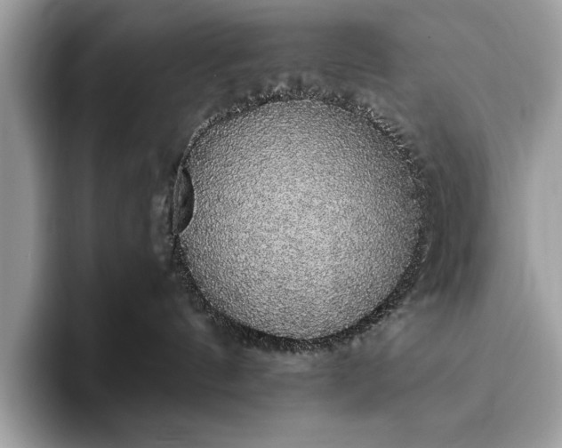 X0000093620144200710221553
