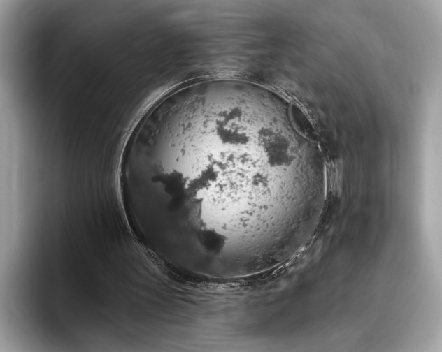 X0000093620147200710221553
