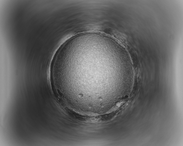 X0000093620148200710221553