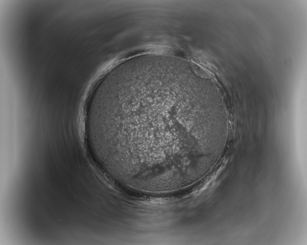X0000093620149200710221553