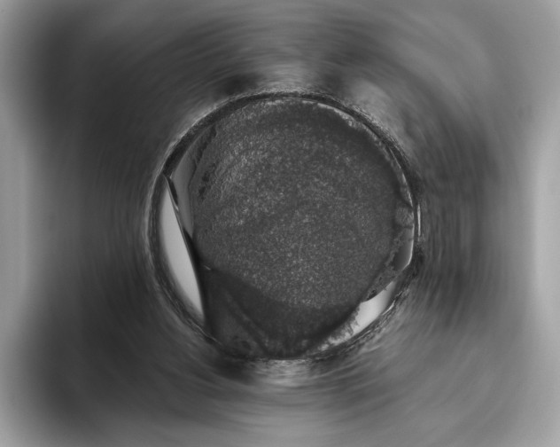 X0000093620156200710221553
