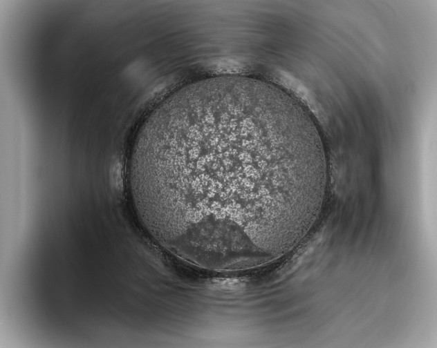 X0000093620161200710221553