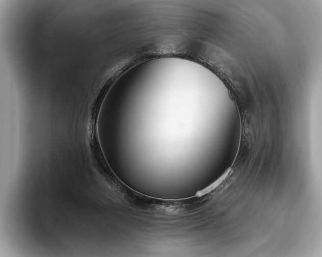 X0000093620164200710221553