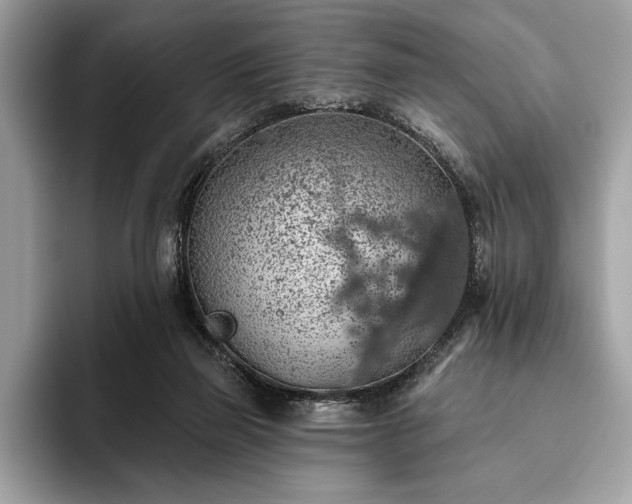 X0000093620165200710221553