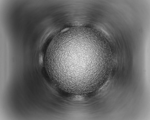 X0000093620166200710221553