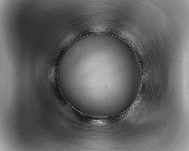 X0000093620167200710221553
