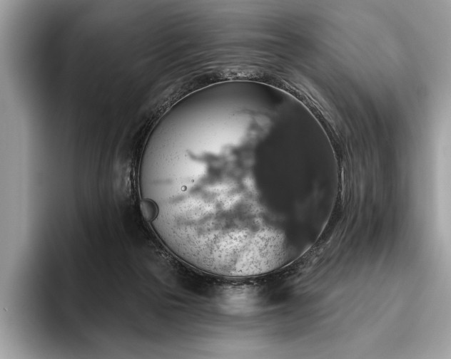 X0000093620169200710221553