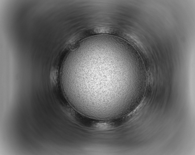X0000093620171200710221553