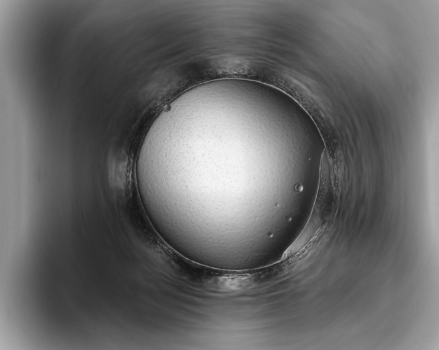 X0000093620172200710221553