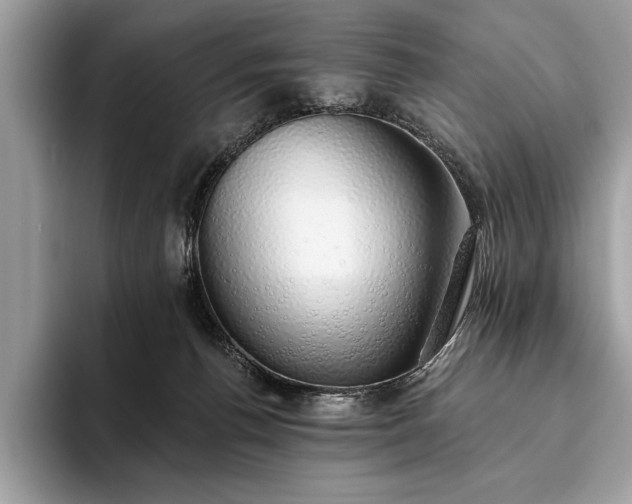 X0000093620176200710221553