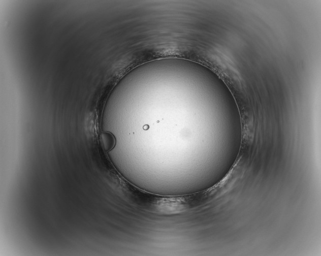 X0000093620179200710221553