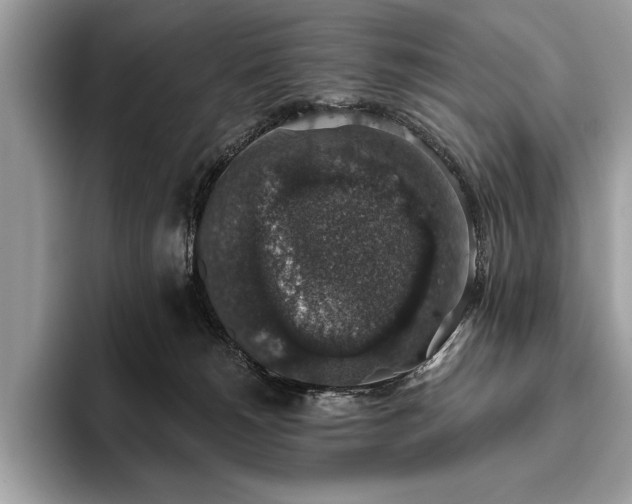 X0000093620180200710221553