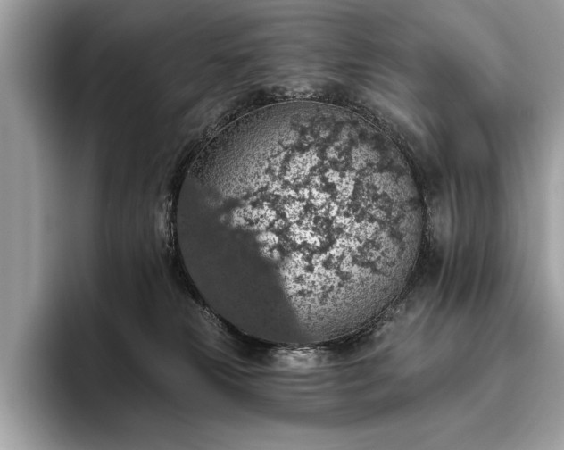 X0000093620181200710221553