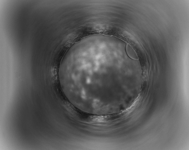 X0000093620182200710221553