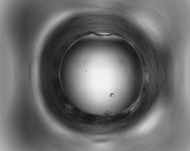 X0000093620190200710221553