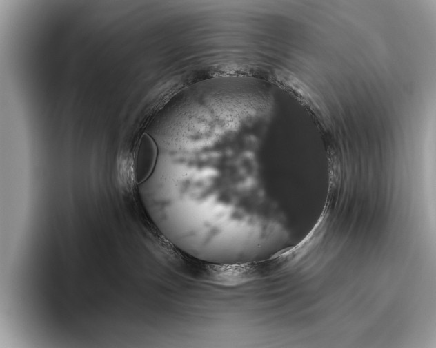 X0000093620191200710221553