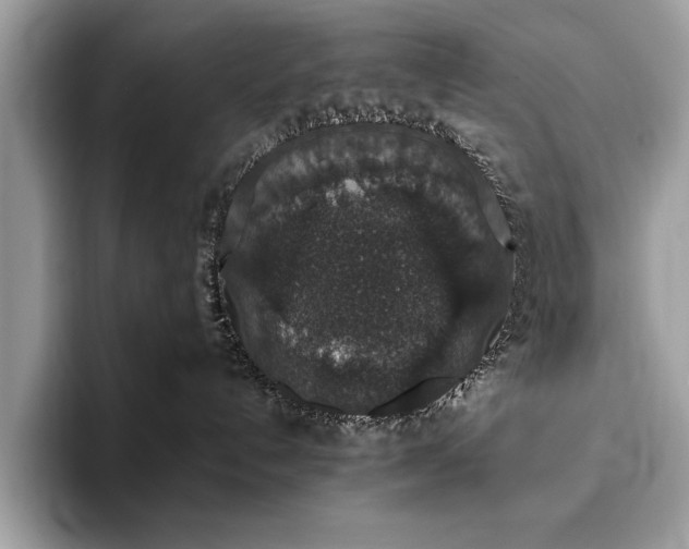X0000093620192200710221553