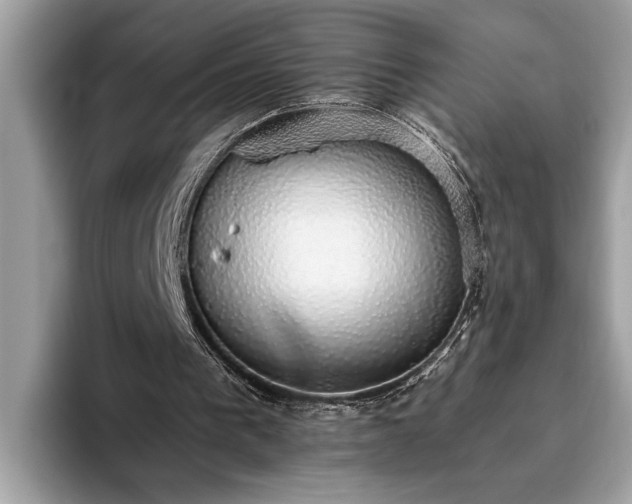 X0000093620193200710221553
