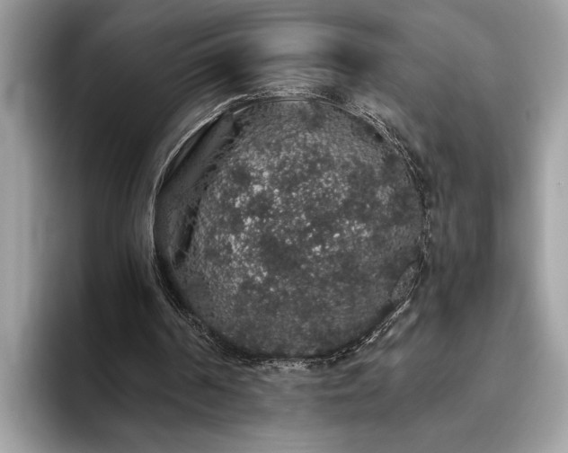 X0000093620194200710221553
