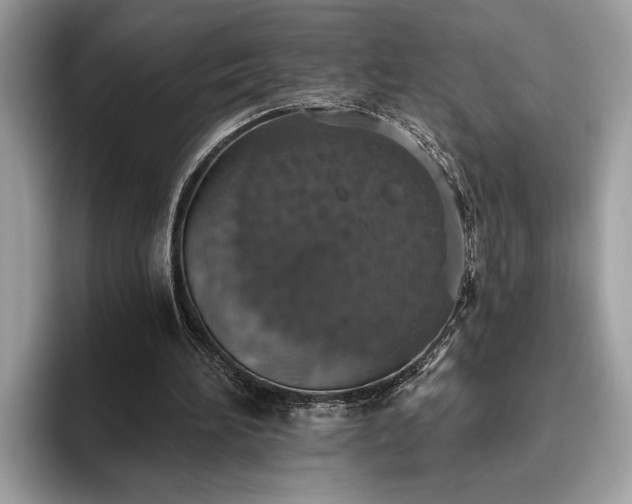 X0000093620196200710221552