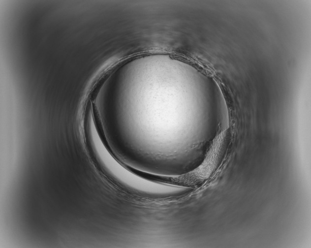 X0000093620197200710221552