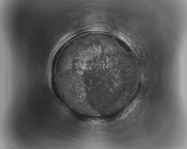 X0000093620199200710221552