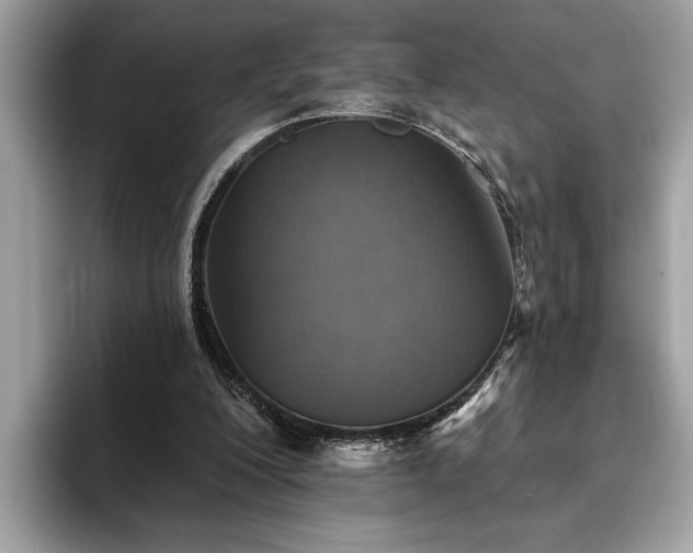 X0000093620200200710221552