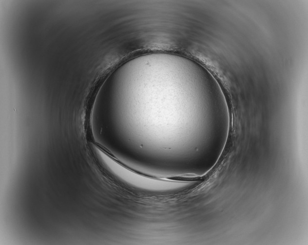 X0000093620201200710221552