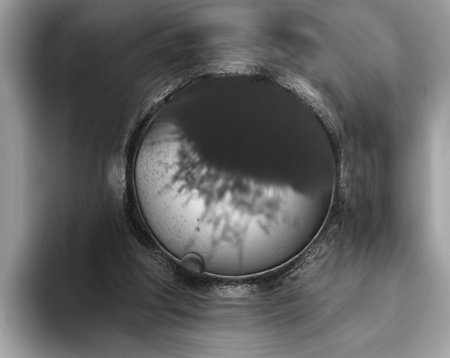 X0000093620202200710221552