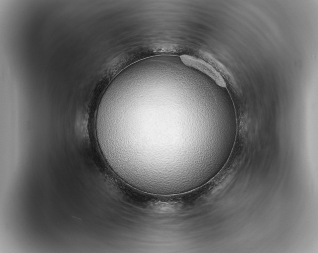 X0000093620209200710221552