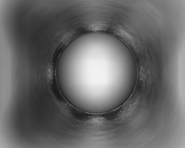 X0000093620210200710221552